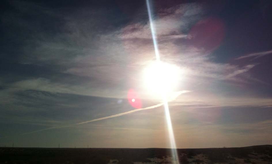 Image_1