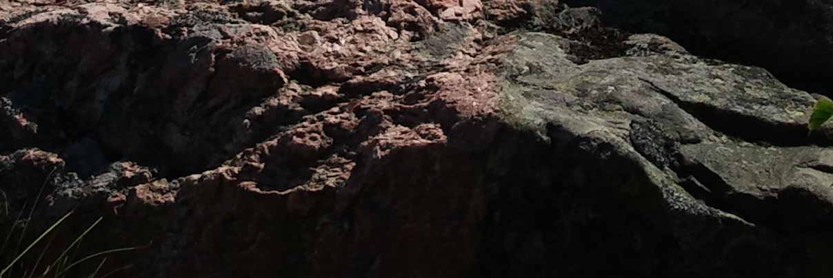Image_11