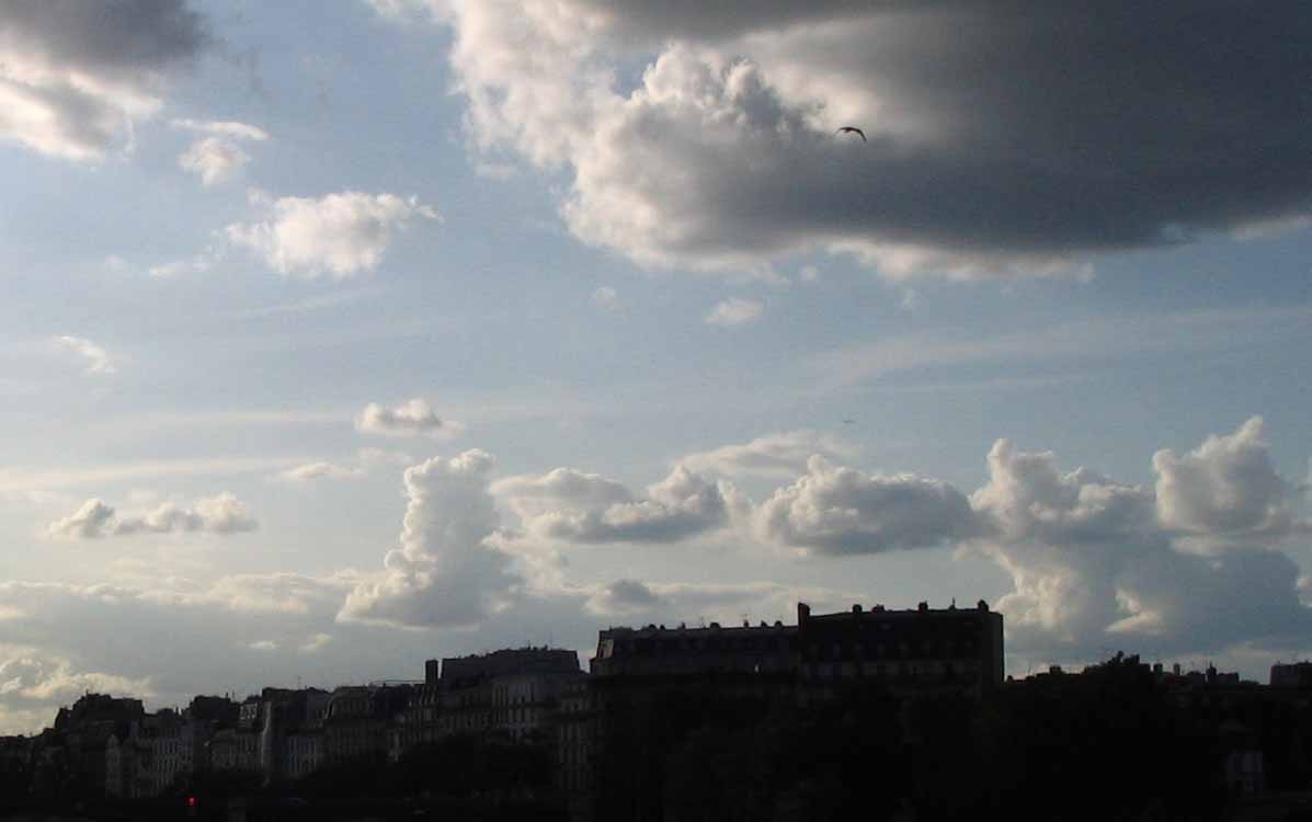 Image_47