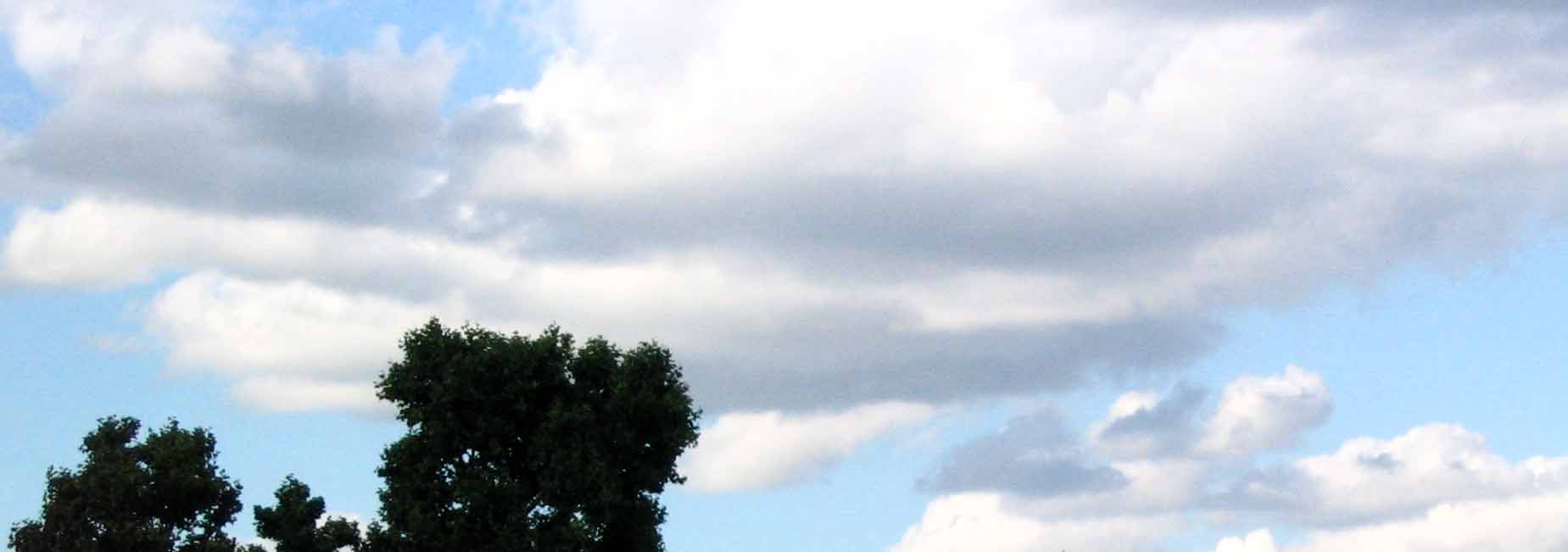 Image_7